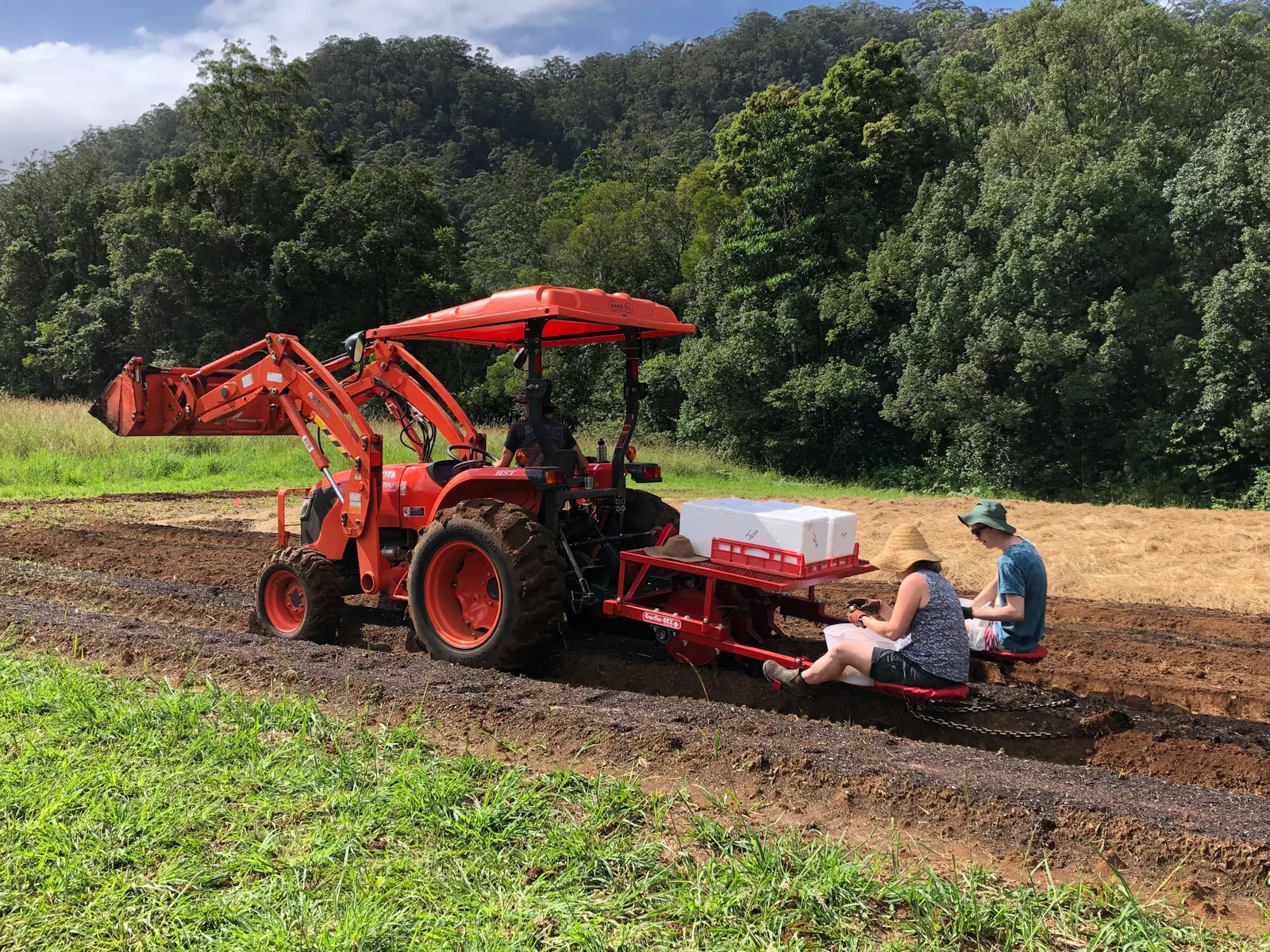 Two people sit on the back of a PL-22 planter towed by an orange Kubota tractor, placing garlic cloves by hand into a freshly opened row on a hillside farm.